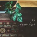دانلود آهنگ پرواز (افتادم توی تله ولی قول داده دلت مارو دور نزنه) “هوش مصنوعی” از هایده و محسن چاوشی